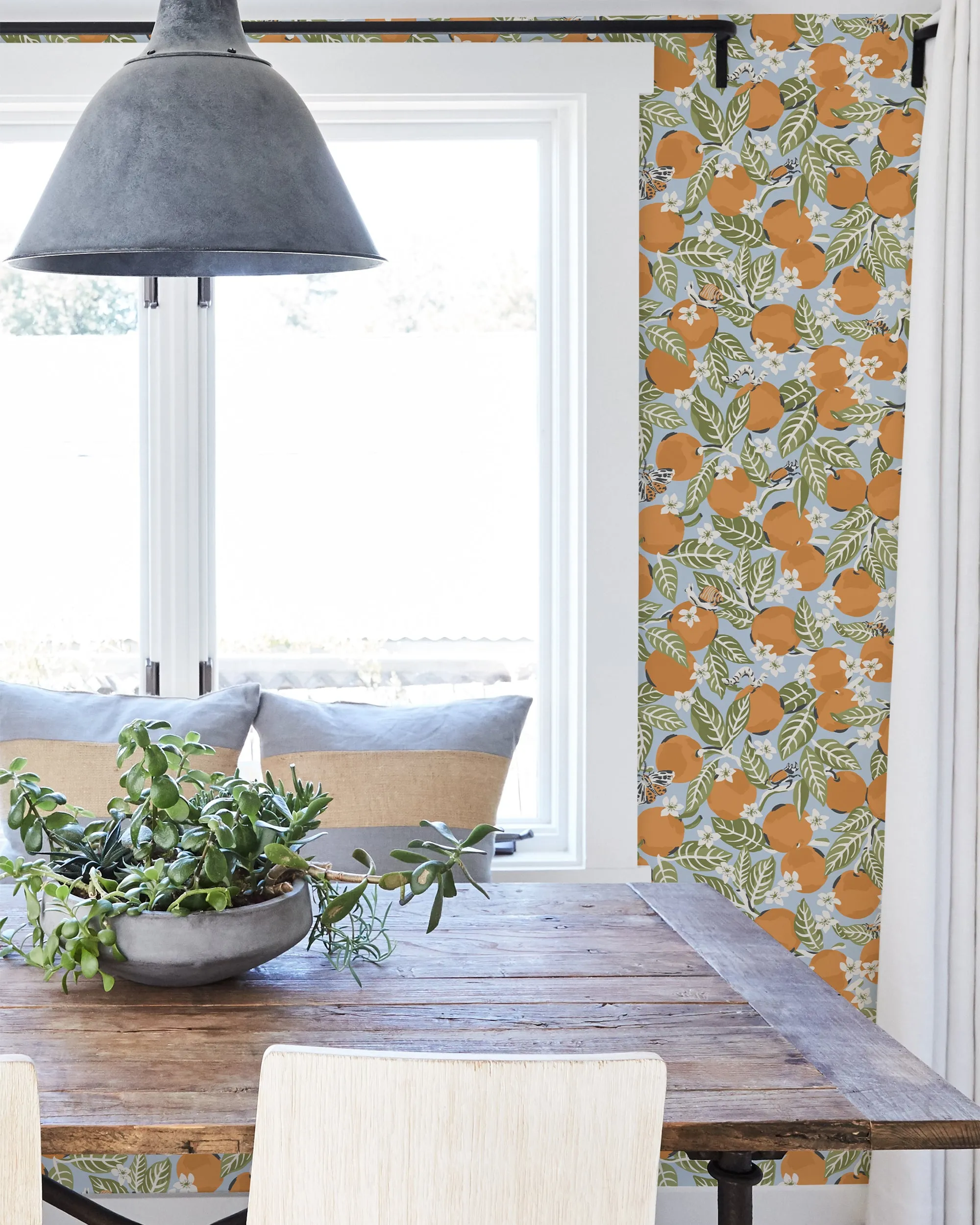 Orange Grove - Peel & Stick Wallpaper - Sky Blue