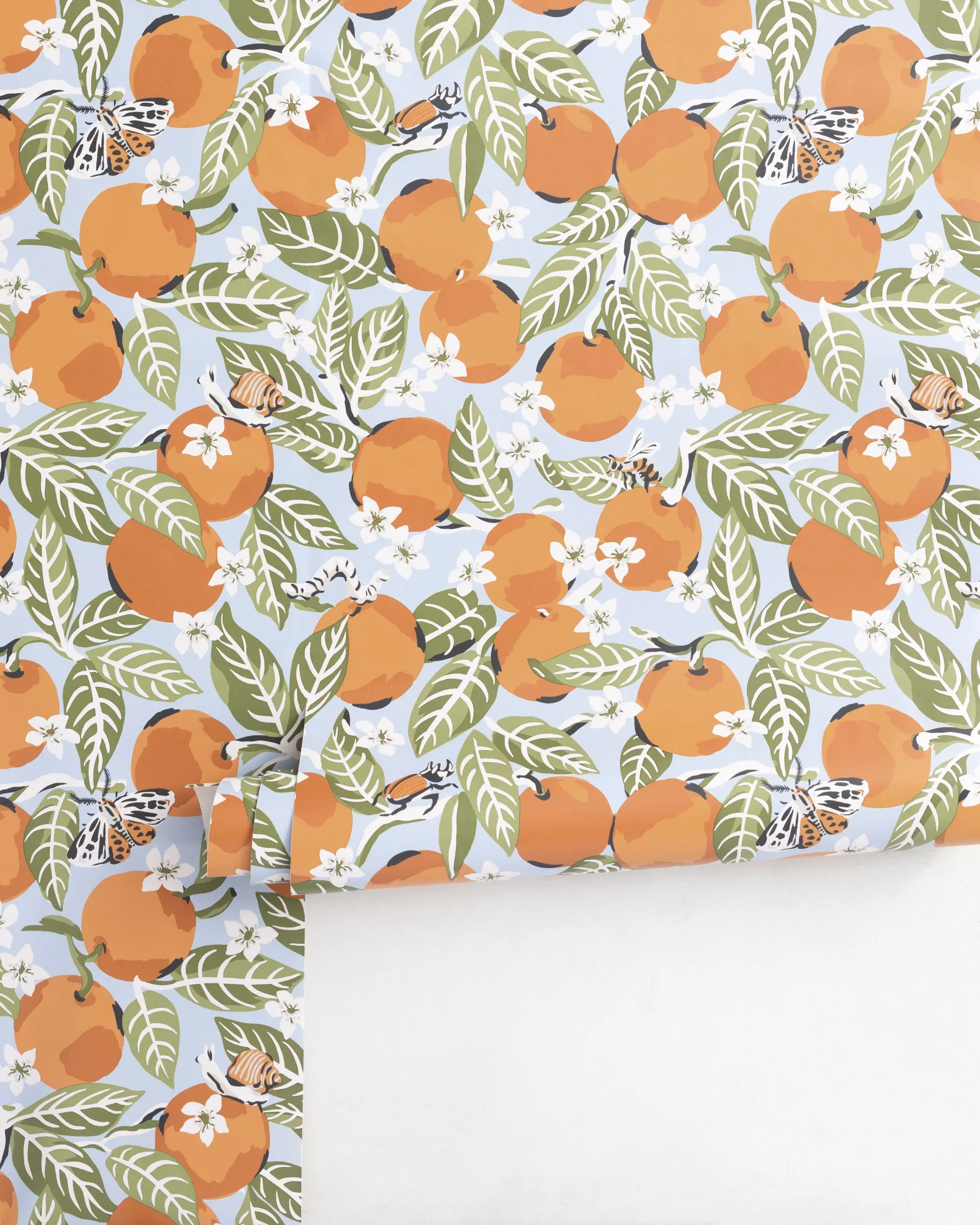 Orange Grove - Peel & Stick Wallpaper - Sky Blue